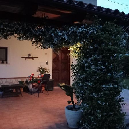 B&B Il Tiglio Padula Dış mekan fotoğraf