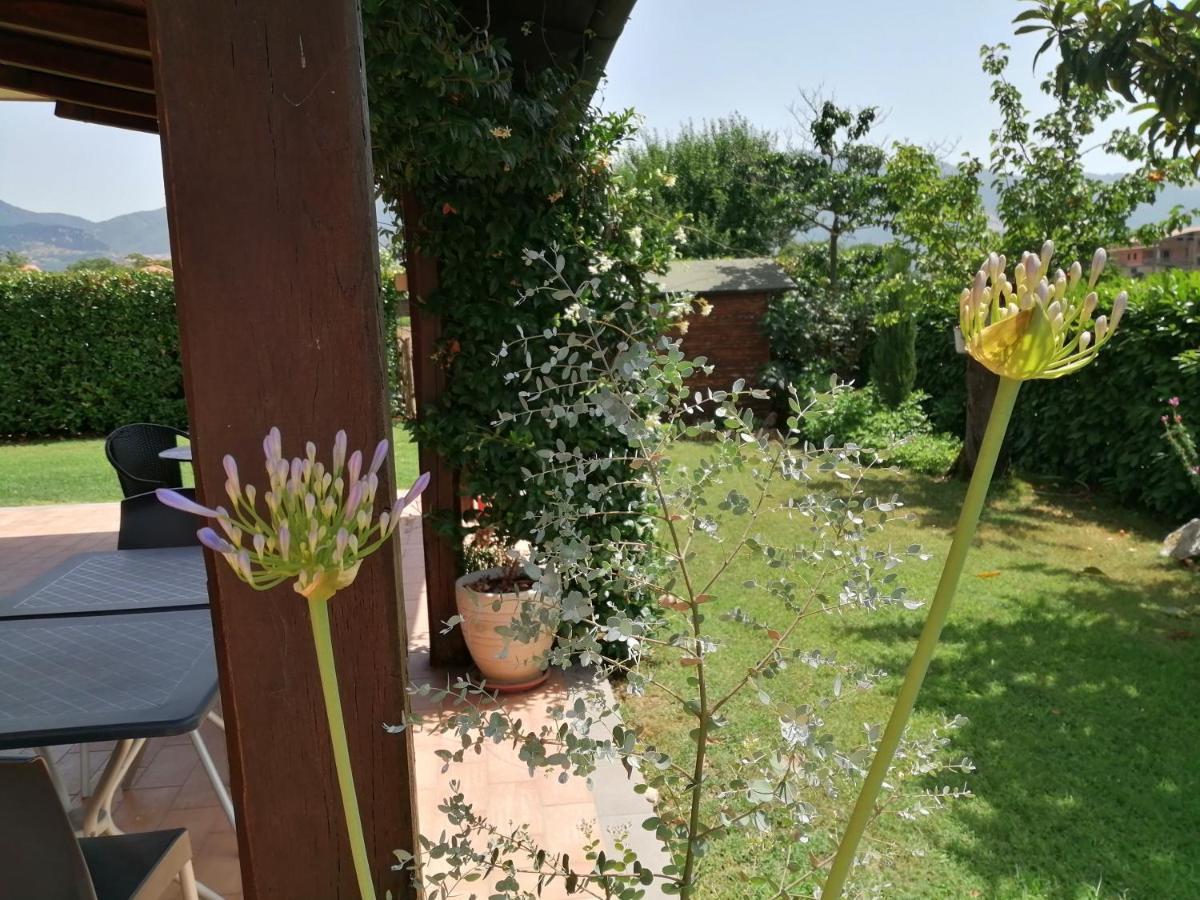 B&B Il Tiglio Padula Dış mekan fotoğraf