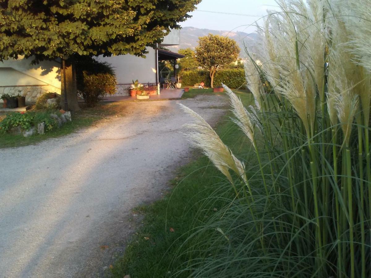 B&B Il Tiglio Padula Dış mekan fotoğraf